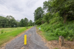 untitled-7843