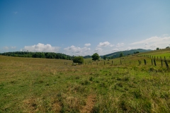 untitled-7729